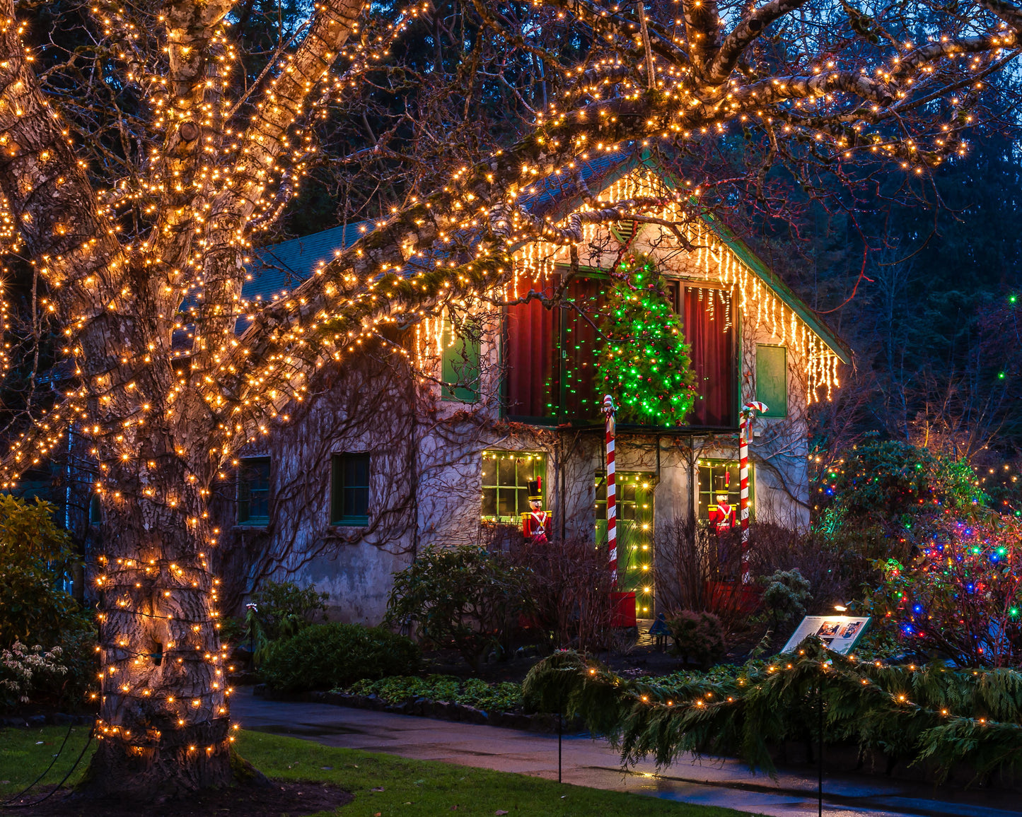 Christmas Lights House 4X6 8X10