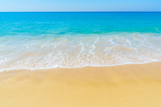 Tropical Beach Ocean 4X6 8X10