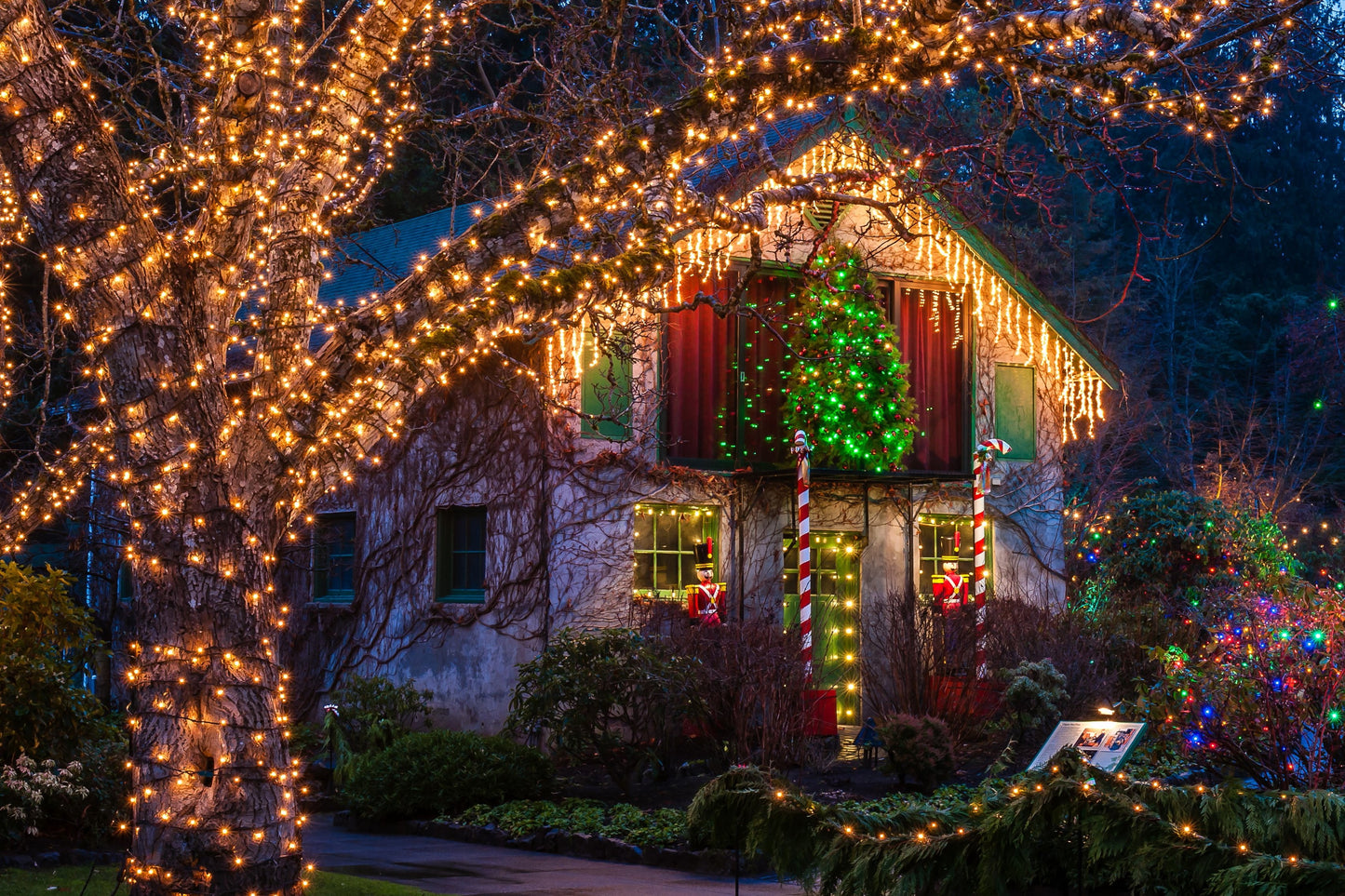Christmas Lights House 4X6 8X10