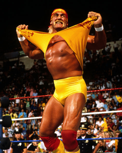Hulk Hogan 8X10