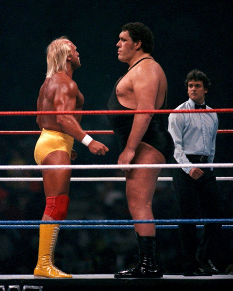 Andre The Giant and Hulk Hogan 8X10